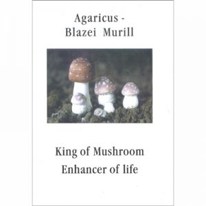 Agaricus-blazei Murill,king Of Mushroom